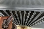 如何正确清洗油烟机网（简单易行的清洗方法）