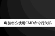 揭秘最强笔记本电脑的操作方法（完美运用）