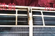 打蜡后的油烟机清洗方法（保持油烟机清洁）