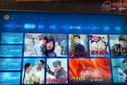 电视机屏幕重影问题解决指南（探索电视机屏幕重影原因及有效解决方法）