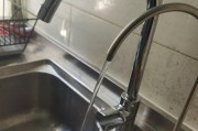净水器马达漏水解决方法（应对净水器马达漏水问题的实用技巧）
