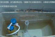 科勒智能马桶盖缓降坏了怎么修（解决科勒智能马桶盖缓降故障的方法及更换智能马桶盖的步骤）