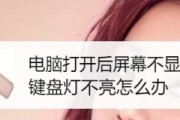 如何解决升级后显示器不亮的问题（教你应对显示器升级后无法显示的情况）