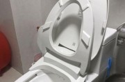 科勒抽水马桶堵塞的原因及解决方法（解析科勒抽水马桶堵塞的主要因素及简易解决办法）