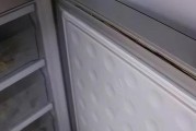 冰箱冻坏了怎么清洗干净（解决冰箱冻坏问题的有效方法及注意事项）