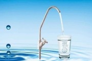 净水器清洗指南（简单易行的清洗方法）