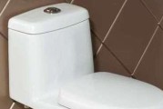 法恩莎马桶冲不干净的原因（探究法恩莎马桶冲不干净的问题以及解决方法）