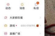 帕鲁特游戏在苹果手机上的操作方法是什么？