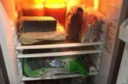 冰箱电机正常却不制冷，问题何在（解析冰箱制冷问题的可能原因及解决方法）