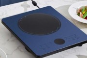 电磁炉炒肉不发热的原因及解决方法（电磁炉无法产生热量）