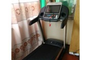跑步机为何重要（探讨跑步机对身体健康的重要性）