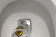 家里马桶堵了怎么办（快速解决堵马桶问题的有效方法）