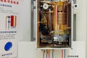 法罗力壁挂炉显示D2故障解决方法（如何快速解决法罗力壁挂炉显示D2故障）