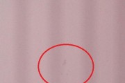 索尼投影仪出现黑点问题（探究黑点形成原因及解决方案）