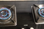 燃气灶上火的原因与解决方法（探究燃气灶为何难以上火及实用解决办法）