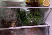 为什么不能把热的东西直接放进冰箱（热物体和冰箱的温度差异会导致的不良后果）