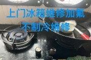 海尔冰箱加氟指南（合适的加氟方法与关键技巧）
