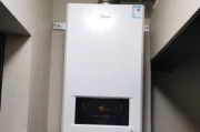 海尔壁挂炉E1故障原因及解决方法（探索海尔壁挂炉E1故障的根本原因）