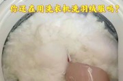 羽绒服究竟能否用洗衣机清洗（揭开羽绒服洗涤的正确答案）