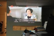 酷乐视投影仪花屏处理方法（解决酷乐视投影仪花屏问题的有效方法）