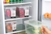 冰箱除臭的原因及方法（保持食品新鲜）