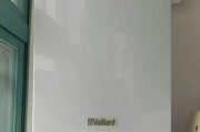 缤纷壁挂炉故障代码解析（了解壁挂炉常见故障代码）