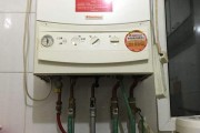 沃喜壁挂炉E6故障处理方法（解决壁挂炉显示E6故障的有效办法）