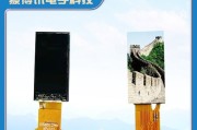 如何辨别液晶显示器真假（揭秘液晶显示器真伪）