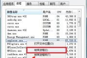 电脑卡顿问题解决方法（快速解决电脑卡顿的有效技巧）