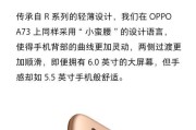 手机拍照检查图片质量技巧？