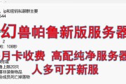 帕鲁加入服务器的必要性是什么？