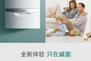 西湖壁挂炉的魅力与历史（传承古老的温暖与美丽）
