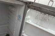 冰箱清洗省钱秘籍（打造干净整洁的冰箱空间）
