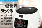 九球电饭煲故障解决方法（如何自行排除九球电饭煲故障）