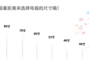 65寸电视机尺寸一览表（探秘65寸电视机的尺寸规格及其适用场景）