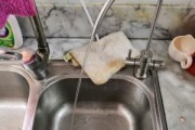 净水器洗完水变大，如何处理（应对净水器洗完水变大的实用方法）