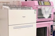 松下洗碗机排水方法及注意事项（轻松解决洗碗机排水问题）