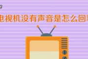 如何解决电视机遥控器紫色问题（快速修复电视机遥控器紫色故障的方法）