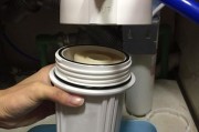 如何修理净水器滤芯（简单有效的净水器滤芯修理方法）