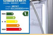 松下BCD一190冰箱定时器故障解决方法（维修松下BCD一190冰箱定时器的步骤及技巧）
