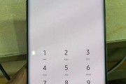 电脑屏幕亮点问题的解决方案（修复电脑屏幕亮点问题的方法和技巧）