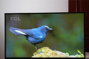 显示器灯关不掉问题解析与解决方案（探索显示器灯无法关闭的原因及有效解决方法）
