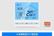 威能热水器故障代码F22的解决方法（分析F22故障代码的原因及有效的解决方案）