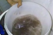 燃气水垢清洗方法（有效清除热水器中的水垢）