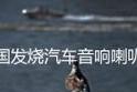 塞拉图后排低音炮安装步骤？常见问题有哪些？