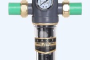 净水器出水管抖动的原因及解决方法（揭秘净水器出水管抖动背后的原因与解决之道）