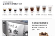 领航咖啡机常见故障及解决方法（解决您的咖啡机问题）