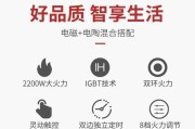 解决电磁炉双火线问题的有效方法（摒弃双火线困扰）