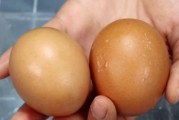 为什么鸡蛋不能清洗后放冰箱（探究鸡蛋冷藏前不应清洗的原因）