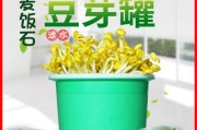 掌握豆芽机发黄豆芽的技巧（如何通过豆芽机快速发豆芽）